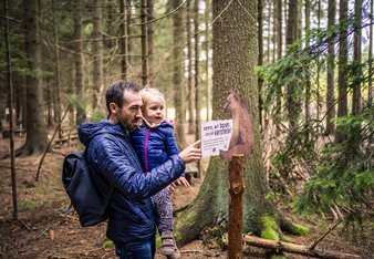 © Waldviertel Tourismus, Robert Herbst