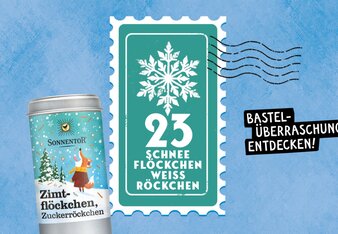 SONNENTOR Gewürzadventkalender - Türchen 23: Eine Illustration mit eine Weihnachtsstern und der Zimtflöckchen Zuckerröckchen Packung! | © SONNENTOR