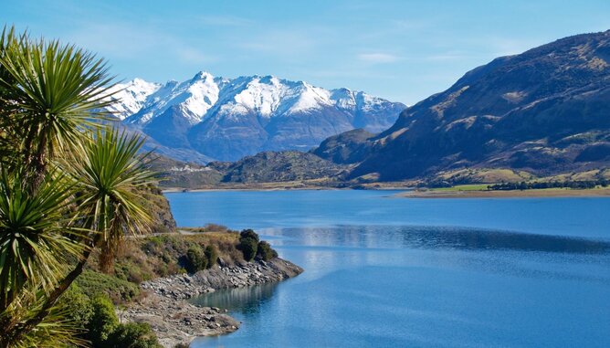 Foto von einem Naturschutzgebiet in Neuseeland. | © SONNENTOR