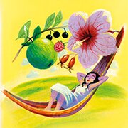 Illustration einer Frau, die in einer Hängematte liegt und von Hibiskusblüten, Holunderbeeren, Hagebutten und einem Apfel umgeben ist | © SONNENTOR