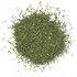 Dill_WEBSITE.jpg