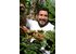 Photo of a man next to a coffee tree. Coffee cherries can be seen on the tree.