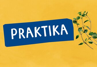 Praktika  | © SONNENTOR