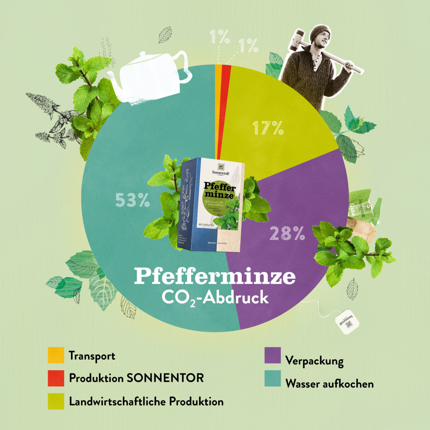 CO2 Abdruck Pfefferminze