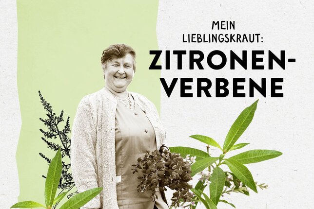 Das Bild zeigt Helga Bauer zwischen einigen Kräutern und den Schriftzug "Zitronenverbene" | © SONNENTOR