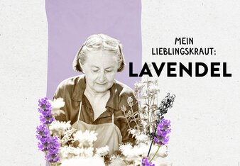 Das Bild zeigt Erkentraud Leisch zwischen einigen Kräutern und den Schriftzug "Mein Lieblingskraut: Lavendel" | © SONNENTOR