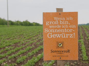 Sonnentor Gewürze | © SONNENTOR