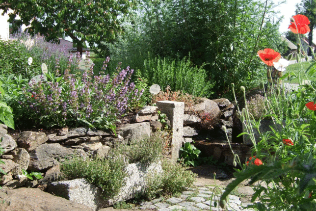 Auf dem Foto ist ein Naturgarten zu sehen. | © SONNENTOR