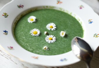 Auf dem Foto sieht man einen Teller Wildkräutersuppe. Darin sind Gänseblümchen zu sehen. | © SONNENTOR