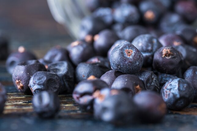 Auf dem Foto sind Wacholderbeeren zu sehen. | © SONNENTOR